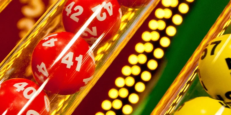 Các giấc mơ về con vật quen thuộc có điềm báo gì